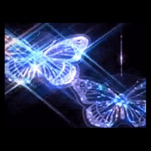 Meet your Posher, Reyna